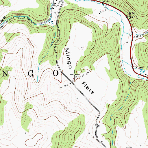 Topographic Map of Mingo Flats, WV