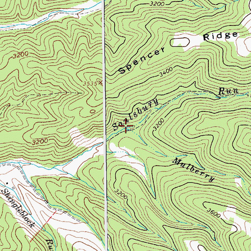 Topographic Map of Mulberry Run, WV