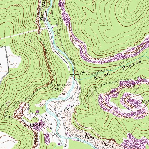 Topographic Map of Nixon Branch, WV