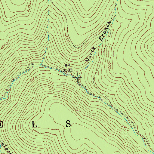 Topographic Map of North Branch Middle Fork Williams River, WV