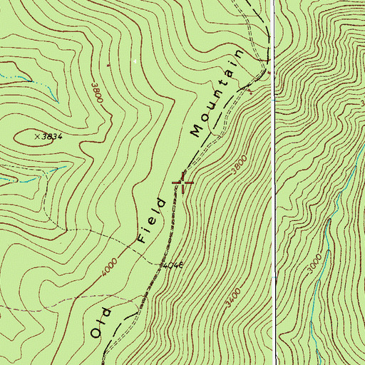 Topographic Map of Old Field Mountain, WV