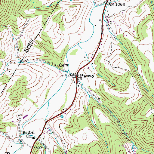 Topographic Map of Pansy, WV