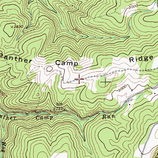 Topographic Map of Panther Camp Ridge, WV