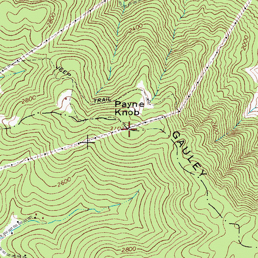 Topographic Map of Payne Knob, WV