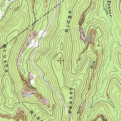 Topographic Map of Peaser Ridge, WV