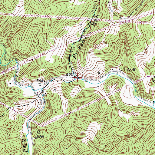 Topographic Map of Pickens Run, WV