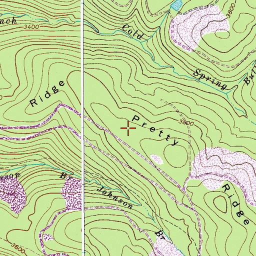 Topographic Map of Pretty Ridge, WV