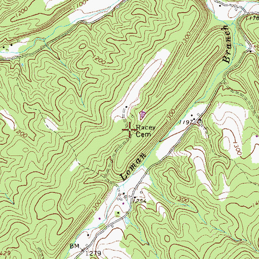 Topographic Map of Racey Cemetery, WV