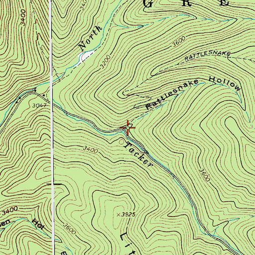 Topographic Map of Rattlesnake Hollow, WV