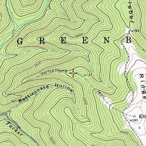 Topographic Map of Rattlesnake Trail, WV