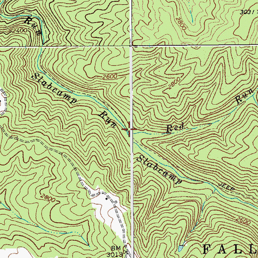 Topographic Map of Red Run, WV