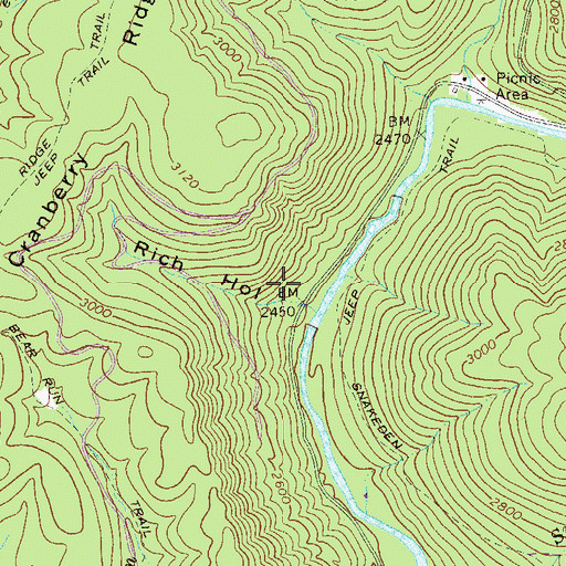 Topographic Map of Rich Hollow, WV