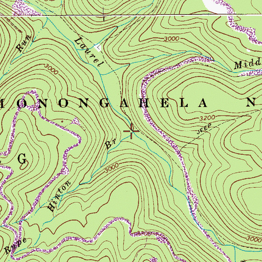 Topographic Map of Rupe Hinton Branch, WV