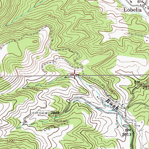Topographic Map of Rush Run, WV