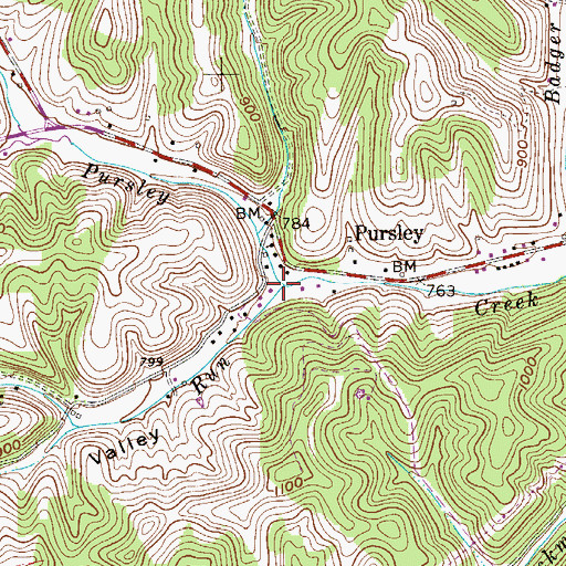 Topographic Map of Saltlick Run, WV