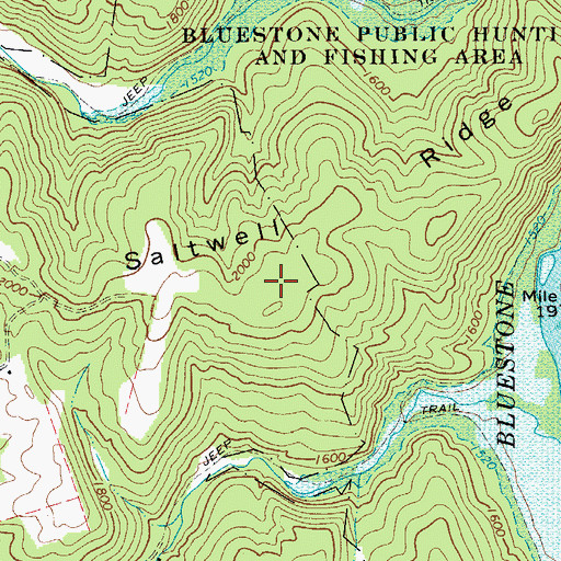 Topographic Map of Saltwell Ridge, WV