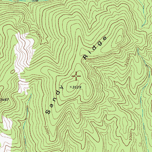 Topographic Map of Sandy Ridge, WV