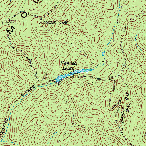 Topographic Map of Seneca Lake, WV