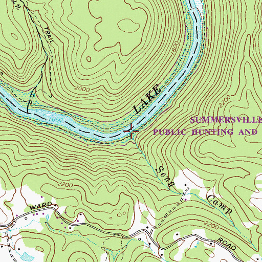 Topographic Map of Seng Camp Run, WV
