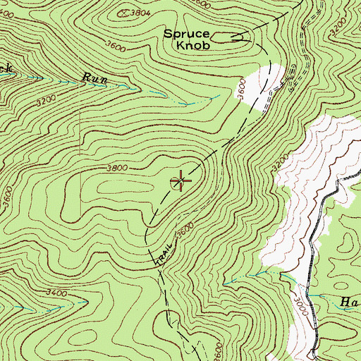 Topographic Map of Shavers Mountain, WV