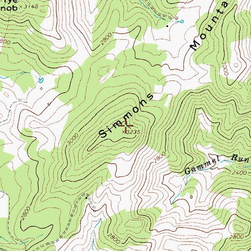 Topographic Map of Simmons Mountain, WV