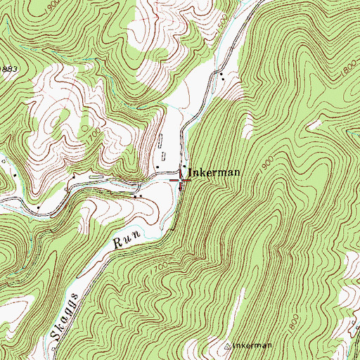 Topographic Map of Skaggs Run, WV