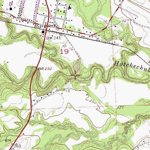 Topographic Map of Weolustee Creek, AL