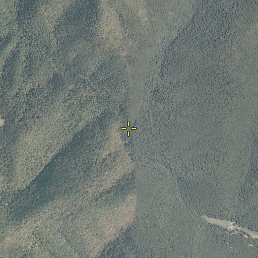 Aerial/Satellite Image of Spring Run, WV