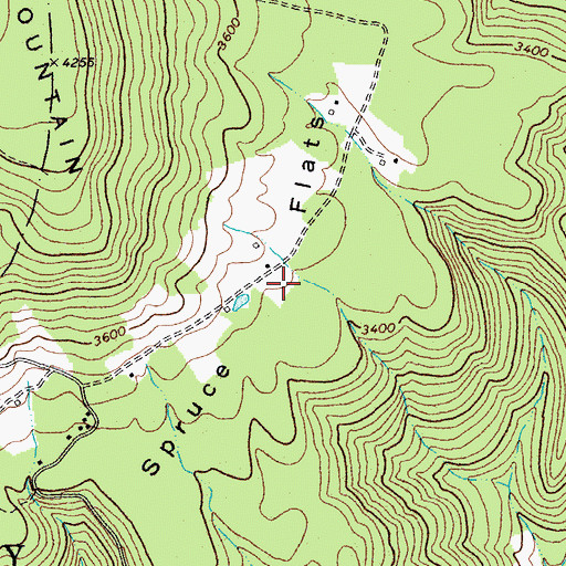 Topographic Map of Spruce Flats, WV