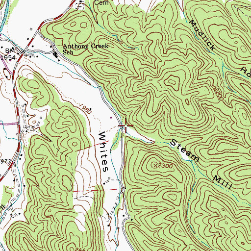 Topographic Map of Steam Mill Hollow, WV