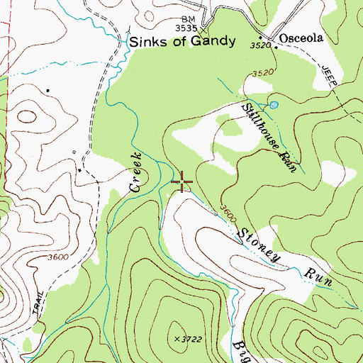 Topographic Map of Stoney Run, WV