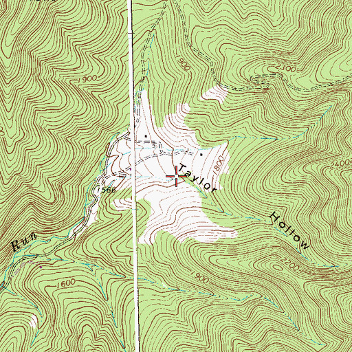 Topographic Map of Taylor Hollow, WV