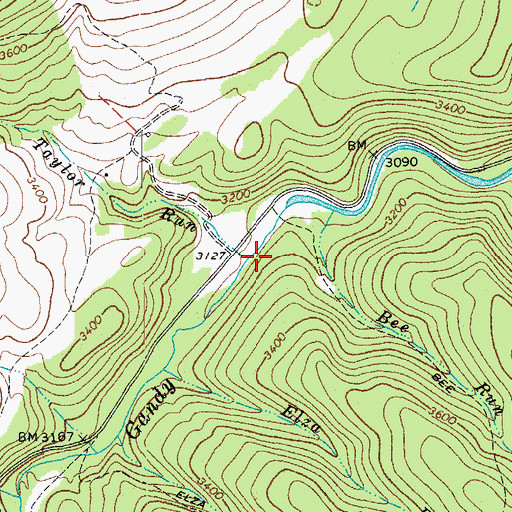 Topographic Map of Taylor Run, WV