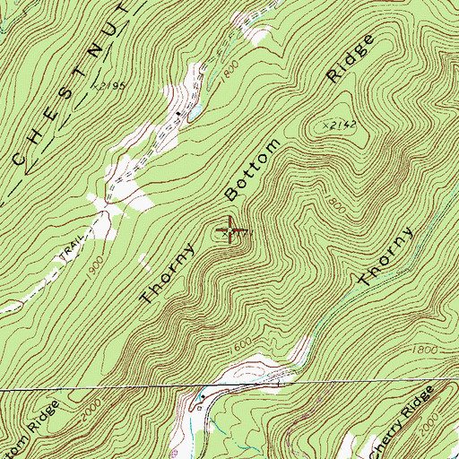 Topographic Map of Thorny Bottom Ridge, WV