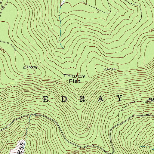 Topographic Map of Thorny Flat, WV