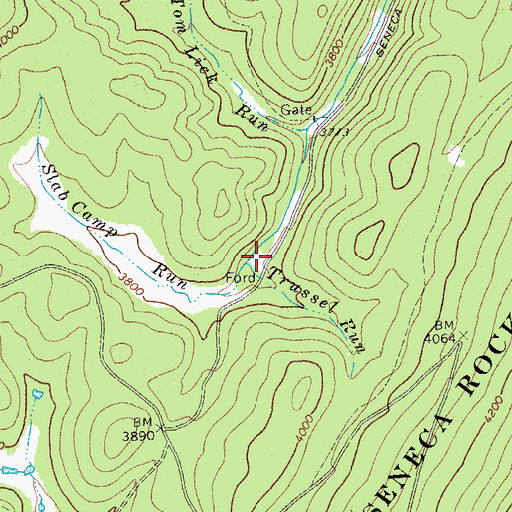 Topographic Map of Trussel Run, WV