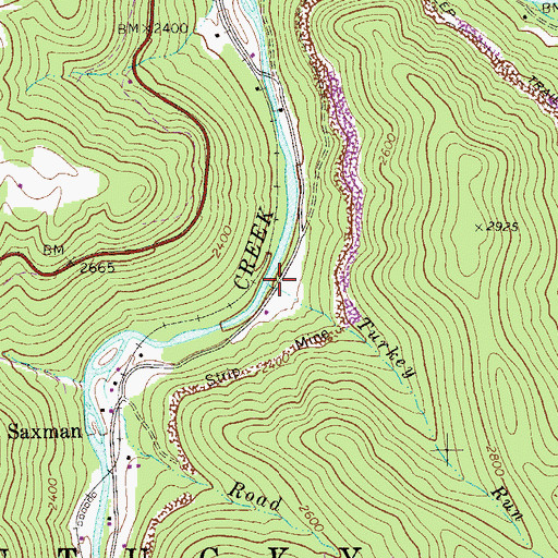 Topographic Map of Turkey Run, WV