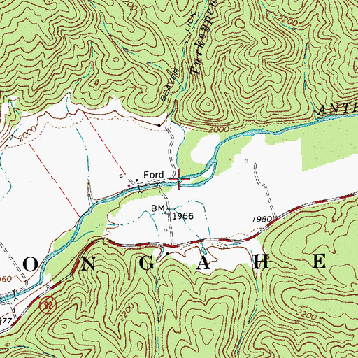 Topographic Map of Turkeypen Run, WV