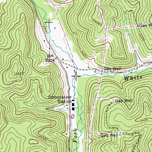 Topographic Map of White Run, WV
