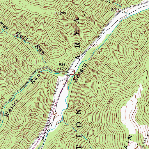 Topographic Map of Whites Run, WV