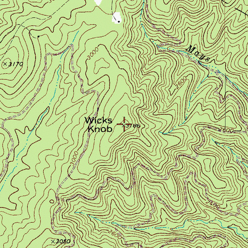 Topographic Map of Wicks Knob, WV