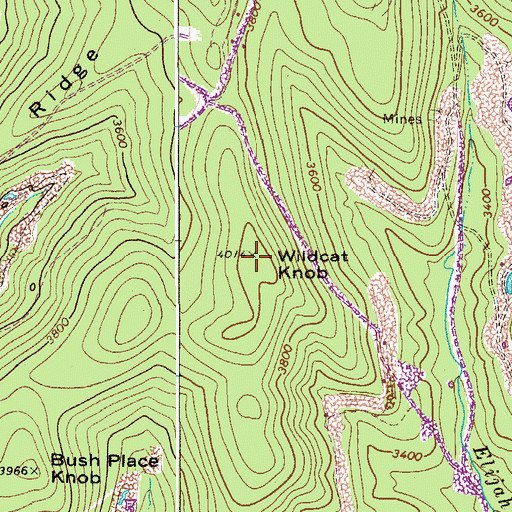 Topographic Map of Wildcat Knob, WV
