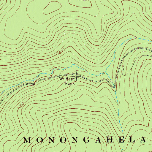 Topographic Map of Wildcat Rock, WV