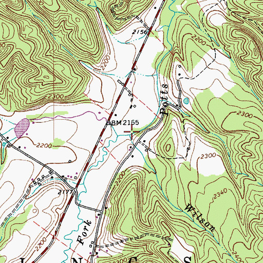 Topographic Map of Wilson Branch, WV