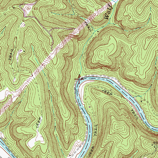 Topographic Map of Wolf Run, WV