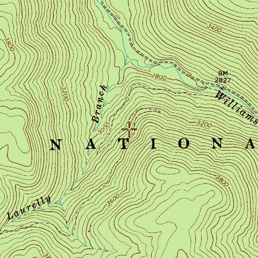 Topographic Map of Laurelly Branch Trail, WV