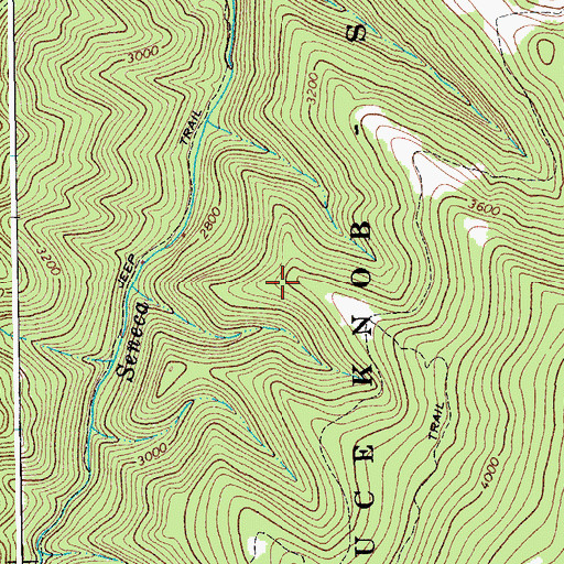 Topographic Map of Spruce Knob-Seneca Rocks National Recreation Area, WV
