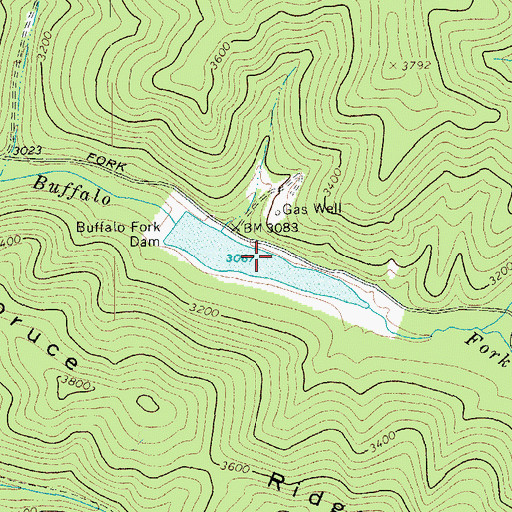 Topographic Map of Buffalo Lake, WV