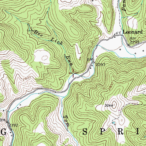 Topographic Map of Bee Lick Run, WV