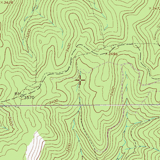 Topographic Map of Twin Branch Trail, WV